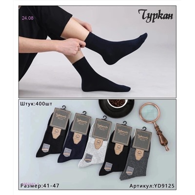 Носки мужские 10 пар 1983461-1