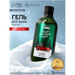 Гель для душа, 300 мл, Bright Christmas night, аромат: хвойный лес, Ural Lab Winter Melody