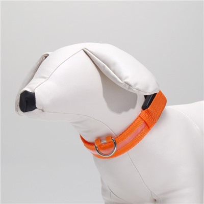 Ошейник с подсветкой размер S, ОШ 35-43×2.5 см, 3 режима свечения оранжевый