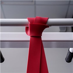 Эспандер ленточный многофункциональный ONLYTOP, 208×4.4×0.5 см, 17-54 кг, цвет красный