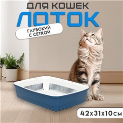 Лоток большой с сеткой Atlantis «Стандарт», 42×31×10 см, синий