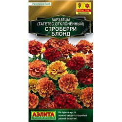 1315A Бархатцы Строберри блонд отклоненные 5 шт