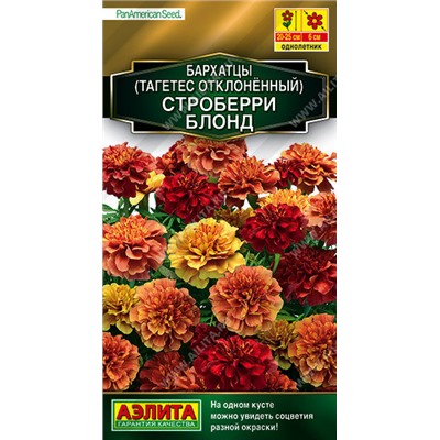 1315A Бархатцы Строберри блонд отклоненные 5 шт