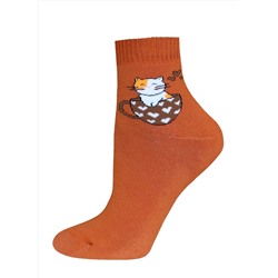 БРЕСТСКИЕ Носки 1407 ARCTIC (махровые, укороченные)