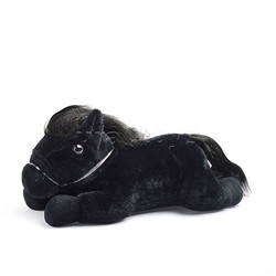 Лошадь чёрная