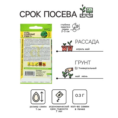 Семена Огурец "Соленые уши" F1, среднеспелый, партенокарпический, цп, 0,3 г