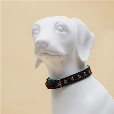 Ошейник кожаный усиленный капроном с полукольцом, 55×2.5 см, ОШ 27-53 см, чёрный