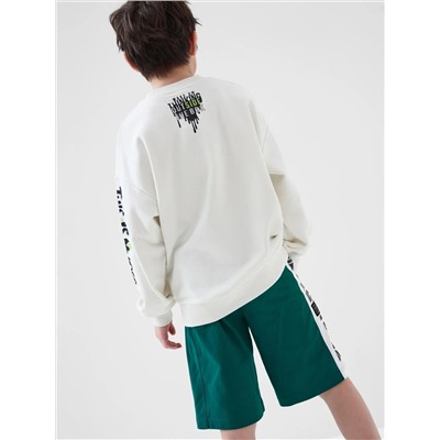 PLAYTODAY Шорты 12611237