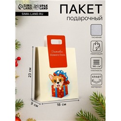 Пакет подарочный новогодний, с вырубной ручкой «Лучший подарок» 18×23×9 см