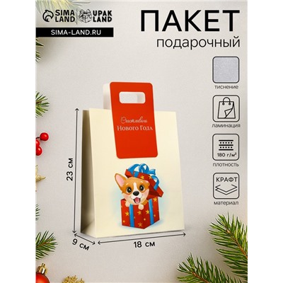 Пакет подарочный новогодний, с вырубной ручкой «Лучший подарок» 18×23×9 см