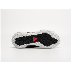 Кроссовки Nike ACG Mountain Fly 2 Low