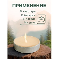 Набор свечей ароматических чайных, антимоскитные, 12 г, 6 шт.