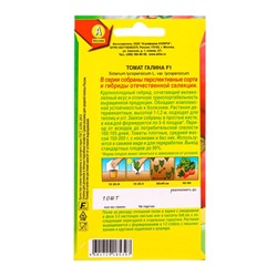 Семена Томат «Галина», F1, серия - «Отечественная Селекция», «АЭЛИТА», 10 шт.