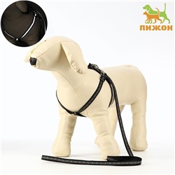 Шлейка с поводком «Косточки», ОШ 22-34 см, ОГ 22-34 см, поводок 1×120 см, светоотражающая, чёрная