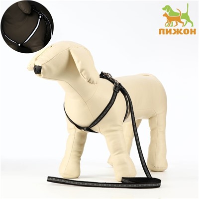 Шлейка с поводком «Косточки», ОШ 22-34 см, ОГ 22-34 см, поводок 1×120 см, светоотражающая, чёрная