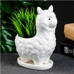 Декоративный горшок для цветов «Лама Лёля», керамический, 200 мл, 15×8×12 см, с поддоном, белый, Greengo