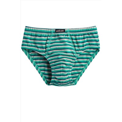 Набор трусов для мальчиков PELICAN, 1232788