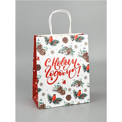 Пакет бумажный подарочный новогодний крафт «Новый год» 27×21×11 см