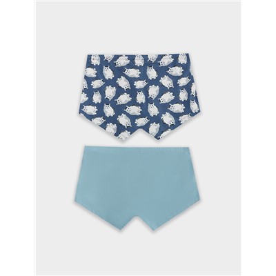 ТРУСЫ МУЖСКИЕ (2ШТ) 411216-2