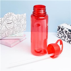 Бутылка для воды спортивная «Бараолт», 650 мл, с поильником, 24×7 см, цвет МИКС