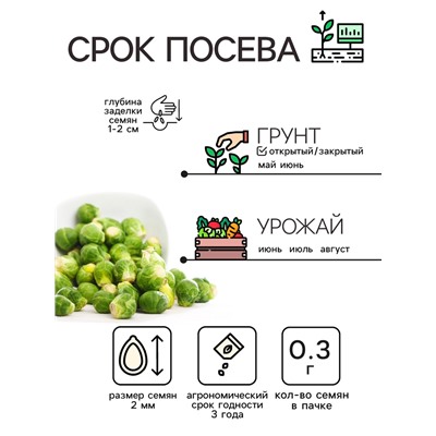 Семена Капуста брюссельская "Розелла", 0,3 г