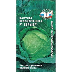 Капуста бк Взрыв F1 (Седек)