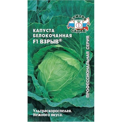 Капуста бк Взрыв F1 (Седек)