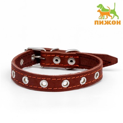 Ошейник кожаный однослойный безразмерный, 45×2 см, ОШ 18-39 см, коричневый