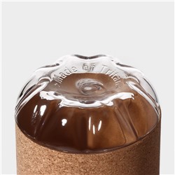 Бутылка для воды Magistro Cork, с элементами пробки, 610 мл, 7.5×7.5×22 см, пластик