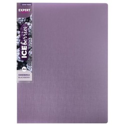 Папка пластиковая 2 кольца"ТРЕНД/Trend ICEberries" 700мкм 25 мм ежевика EC211320072 Expert Complete