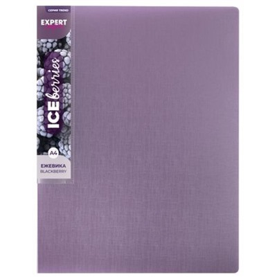 Папка пластиковая 2 кольца"ТРЕНД/Trend ICEberries" 700мкм 25 мм ежевика EC211320072 Expert Complete