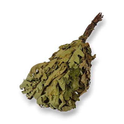 Веник для бани, дубовый, в пакете