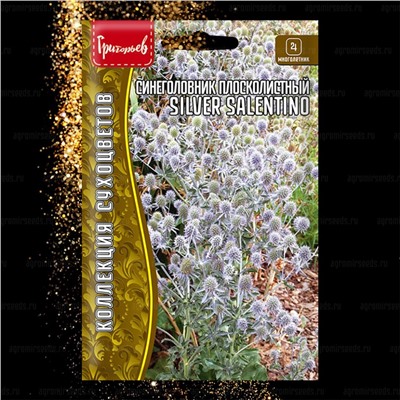 Синеголовник Сильвер Салентино - Silver Salentino (Редкие)