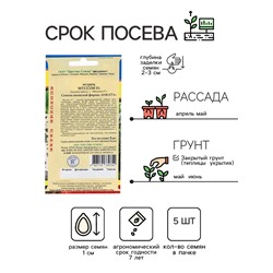 Семена Огурец "Муссон" F1, 5 шт