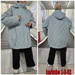 Куртка осень 1983635-1