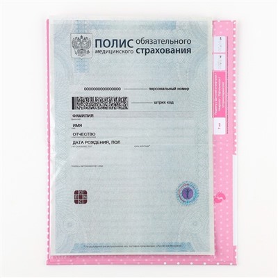 Папка для медицинского полиса «Мишка», 17.5×11.3 см
