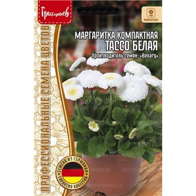 Маргаритка Тассо белая компактная (Редкие)