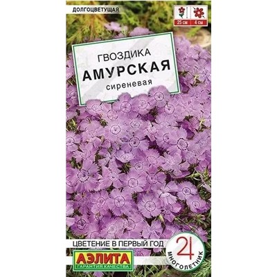 Гвоздика Амурская Сиреневая Аэлита