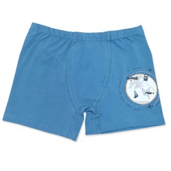 3658 Боксеры для мальчиков многоцвет (BAYKAR)