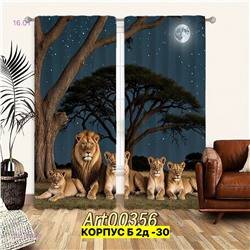 Фотошторы 3д 2051789-8