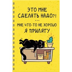Тетрадь А4  60л клетка на спирали пластиковая обложка "День кота (Эксклюзив)" ТПС4605207 Эксмо