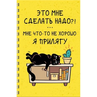Тетрадь А4  60л клетка на спирали пластиковая обложка "День кота (Эксклюзив)" ТПС4605207 Эксмо