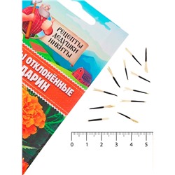 Семена цветов Бархатцы отклонённые «Мандарин», махровые, 0.3 г