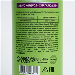 Мыло жидкое кухонное, 1000 мл, аромат яблока, FLUX