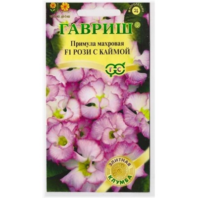 Примула Роззи F1 с каймой (Код: 70563)