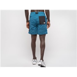 Шорты The North Face