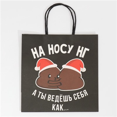 Пакет подарочный новогодний «На носу НГ», 22×22×11 см