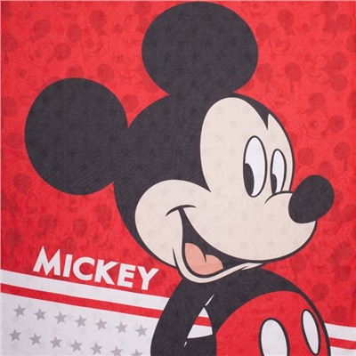 Постельное бельё 1.5-спальное «Этель. Мышонок», поплин