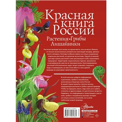 АСТ Пескова И.М. "Красная книга России. Растения Грибы Лишайники"