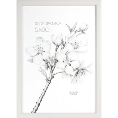 Фоторамка 21х30 с акриловым стеклом / 1503-015  /уп10